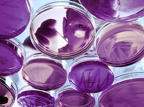 Online Certificate in Bloodborne Pathogen