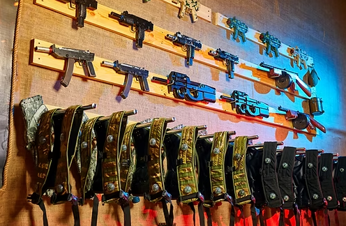 Diploma in Weapon Safety
